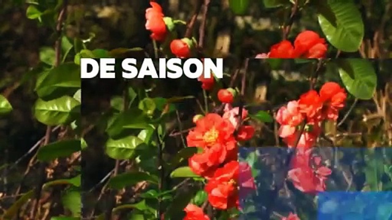 Silence, ça pousse !