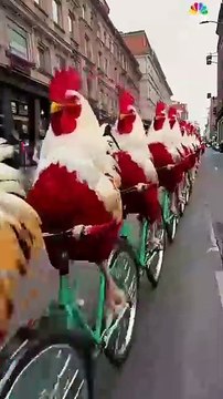 _shorts _shortvideo _short _shortsvideo _animals _funny _comedyshorts _video _video)