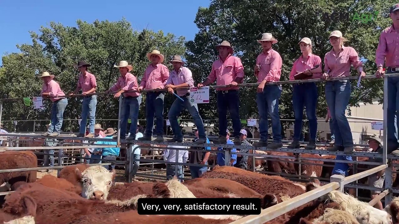 Omeo grazier 'surprised' after top pen fetches $400 more than expected