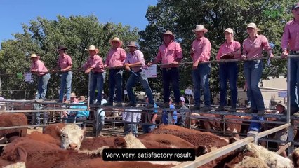 Omeo grazier 'surprised' after top pen fetches $400 more than expected