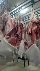 Halal Slaughter Process: Brown Cow at Lahore Meat Company