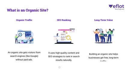 Step-by-Step: Crafting an Organic Website That Ranks! | Eflot