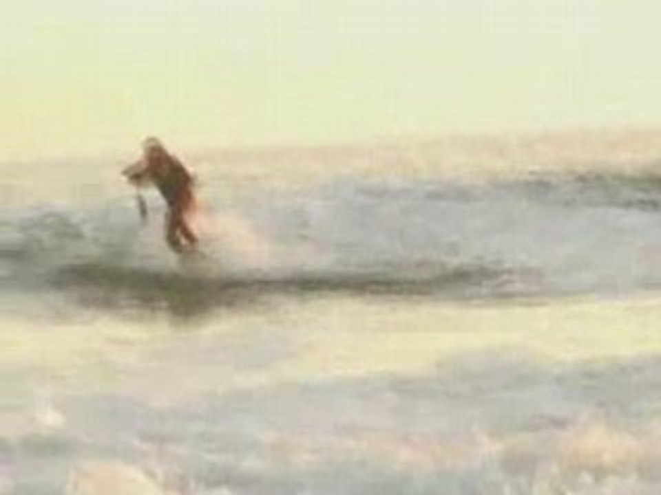 Surfeur feat requin