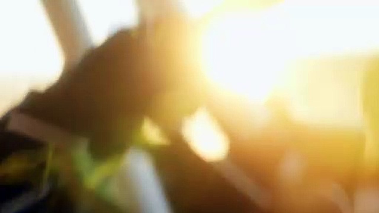 Celebrating 50 years of the Škoda 130 RS - A legendary coupé that defined an era