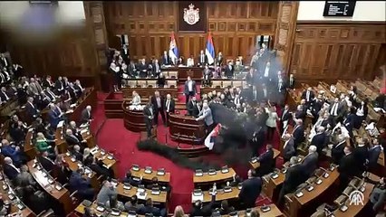 Sırbistan Meclisinde muhalefet ve iktidar milletvekilleri arasında kavga çıktı