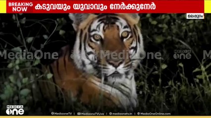 മലപ്പുറം കരുവാരക്കുണ്ടിൽ റോഡിൽ വെച്ച് കടുവയെ നേർക്കുനേർ കണ്ടെന്ന് യുവാവ്...