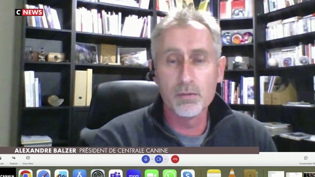 Les kinapings de chiens se multiplient : Il faut aujourd'hui changer la loi, car voler un animal de compagnie est considéré aujourd'hui en France comme un vol de... téléphone portable ou de sac à main !