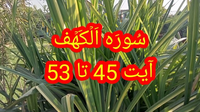 Surah Al kahf | Beautiful Tilawat | Surah kahf ki tilawat | quran recitation |