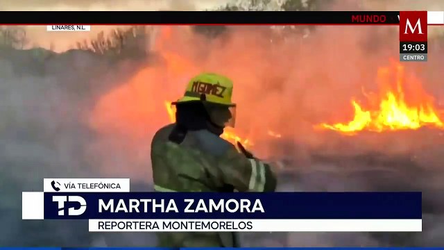 Fuertes vientos desataron una ola de incendios en Nuevo León. Jaime Núñez, 04 de marzo 2025