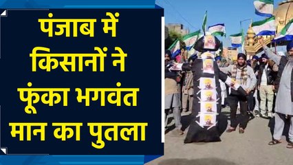 Sarven Singh Pandher के नेतृत्व में Punjab के CM भगवंत मान का फूंका पुतला