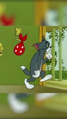 tom and jarry cartoon