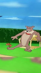 tom and jarry cartoon