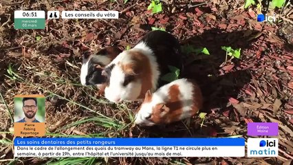 05/03/2025 - ici matin par ici Maine en vidéo