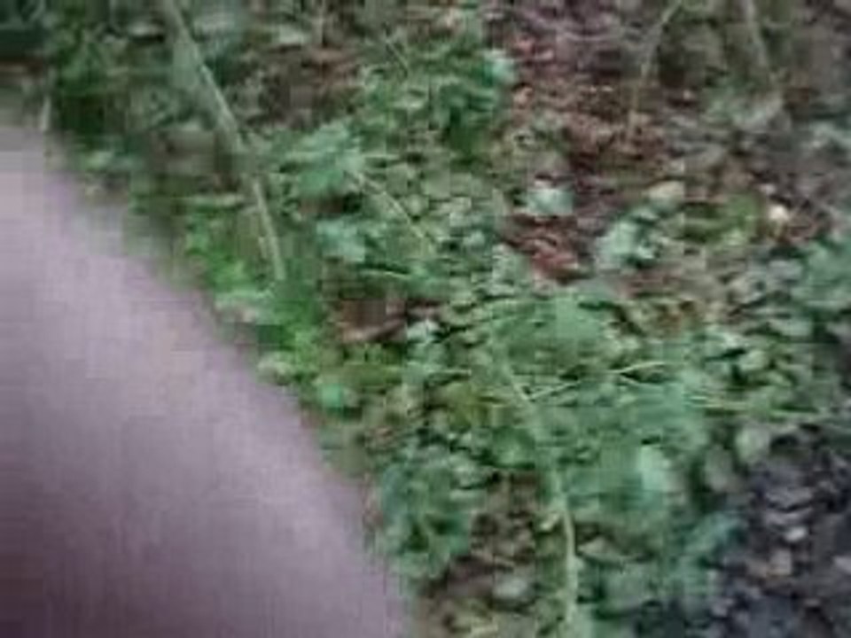 Passage d'un bourbier