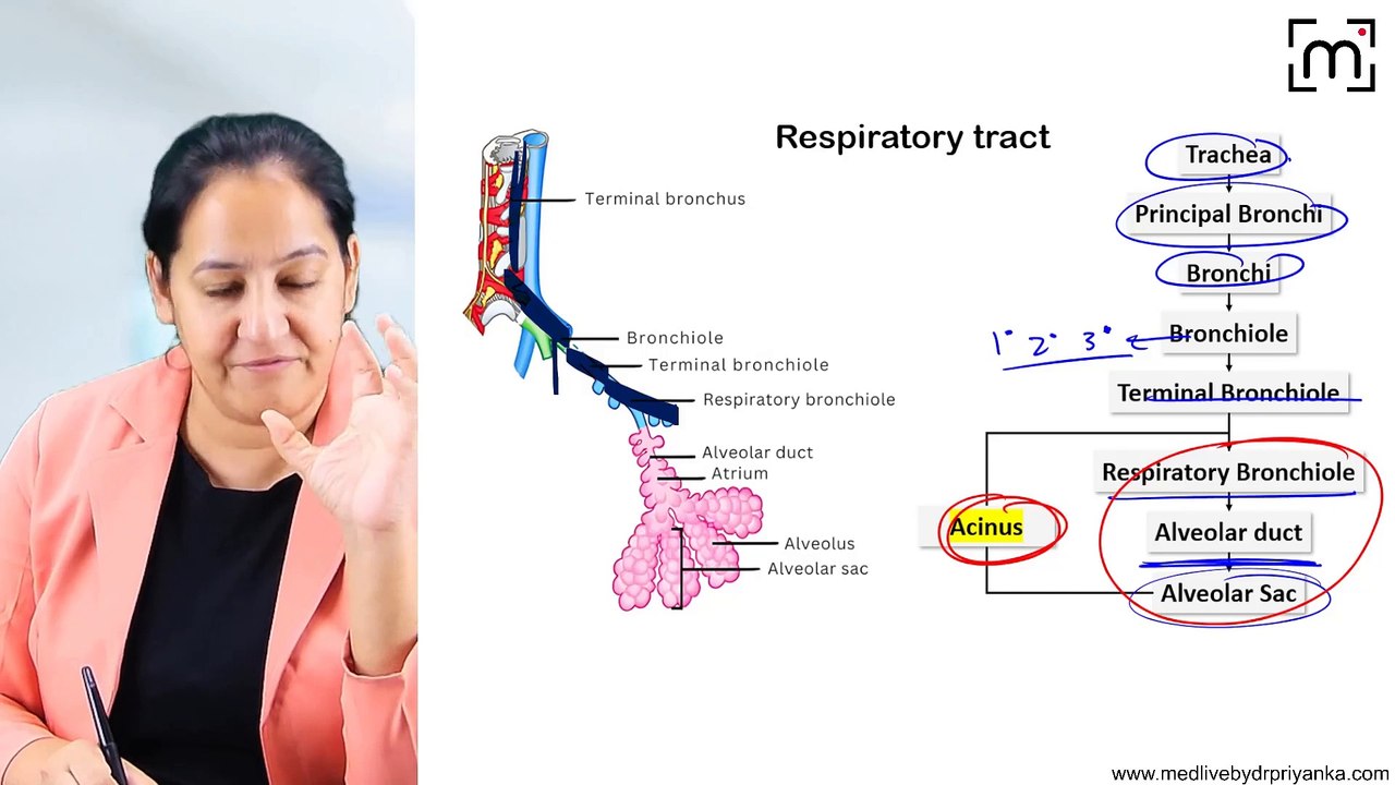 1. Normal Anatomy & Histology