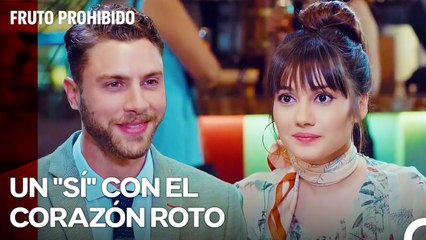 Zeynep Aceptó La Propuesta De Cem - Fruto Prohibido Capitulo 42