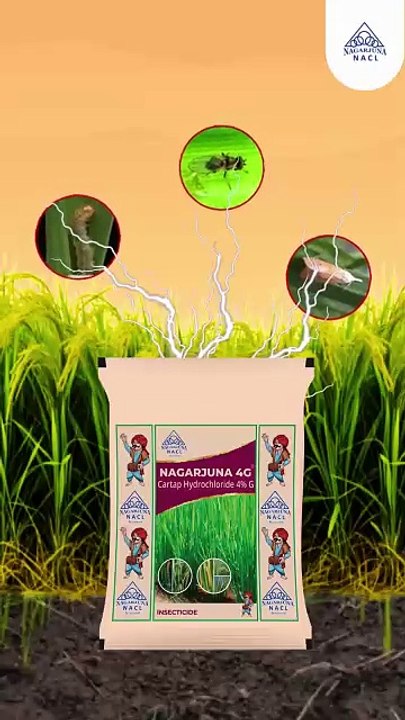 Effective Fungicides for Plant Disease Control | NACL