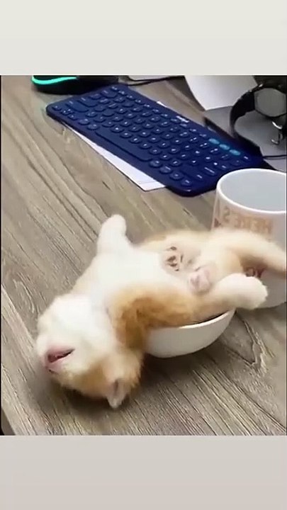 🥱🥱