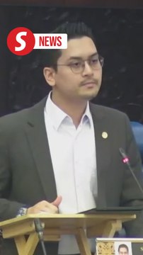 Opposition MPs object to Sungai Petani MP's 'democracy' claims