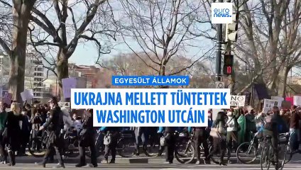 Ukrajna mellett tüntettek Washingtonban
