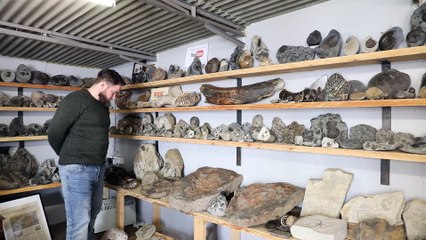 Fossil hunter who quit full-time job to pursue his hobby earns £40k a year