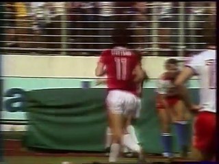 CHAMPIONNAT D' ALLEMAGNE - 1981 - SAISON 1980/1981  -