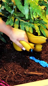 Dessinez plus intelligemment, pas plus difficilement : Les ASTUCE essentielles pour les DÉBUTANTS !