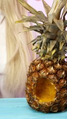 Create Your Own SpongeBob’s House DIY 🏠 | Fun & Easy Craft Idea