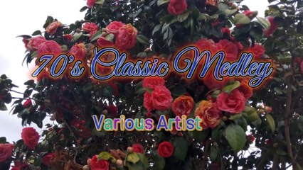 70's Classic Medley - Various Artist