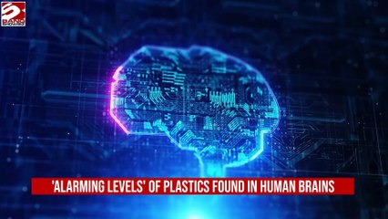 'Alarming levels' of plastics found in human brains