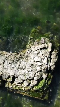 Delle mura romane sono riemerse a Bacoli dal lago Fusaro