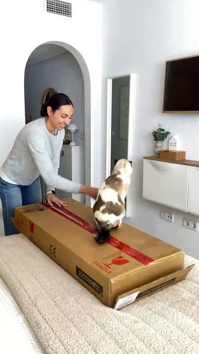 LUXFURNI Mirror Jewelry Cabinet Wall-Mount/Door-Hanging Armoire, Lockable Makeup Storage Organizer w/Cosmetic Box White