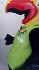 Mascot toucan vs crocodile