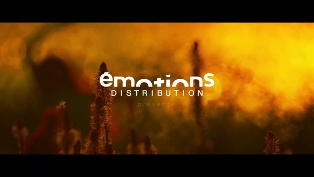 Monsieur Constant Bande-annonce VF