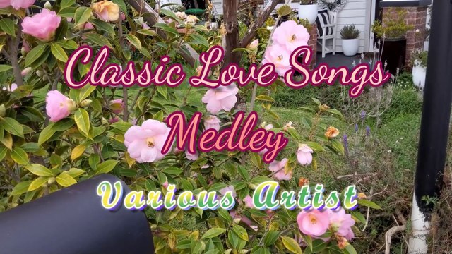Classic Love Songs Medley - Various Artist