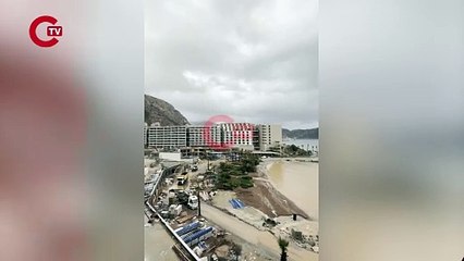 Tartışmaların odağındaydı... Sinpaş'ın otel projesi doğa katliamına neden oldu!