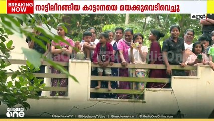 ജെസിബി ഉപയോഗിച്ച് വഴിയൊരുക്കി, ആനയെ ഉടന്‍ വാഹനത്തില്‍ കയറ്റും
