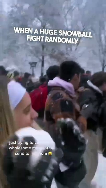 This snowball fight had an unexpected ending 😂