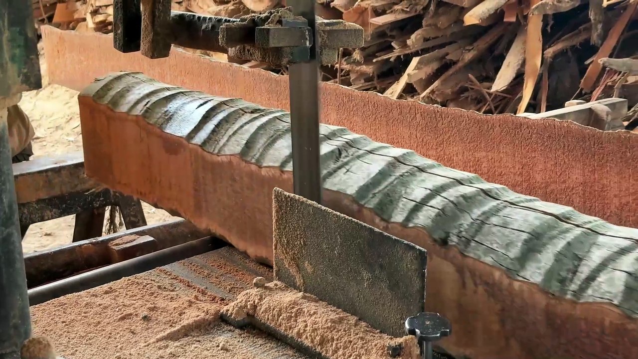 Advantages of Sawmill in Sawing 5x7 Coconut Wood