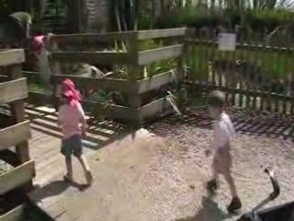 MOV00D