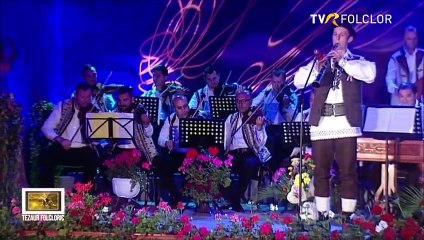 Tudor Virciu - Premiul I Festivalul „Lica Militaru” - Editia I - TVR - 2017