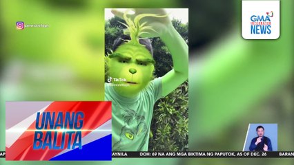"Green Bones" actor Dennis Trillo, nag-transform bilang Grinch at Elphaba gamit ang filter | Unang Balita