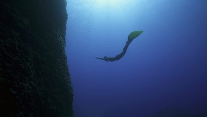 L'homme dauphin : sur les traces de Jacques Mayol