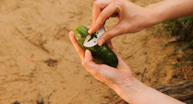 Des ASTUCES de camping époustouflantes !