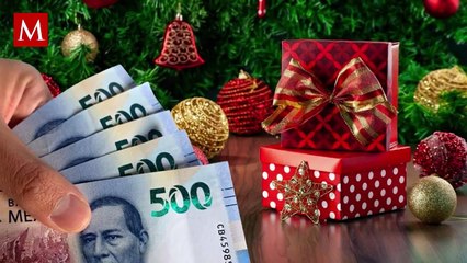 Si no recibiste aguinaldo, te decimos qué puedes hacer