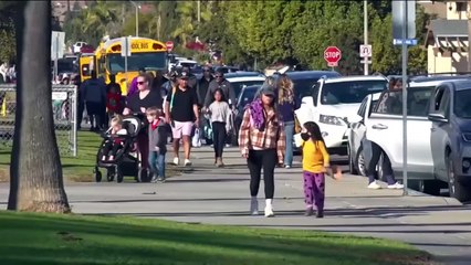 VIDEO: ¡Frente a su hijo! Tres perros atacaron a su dueño sin piedad