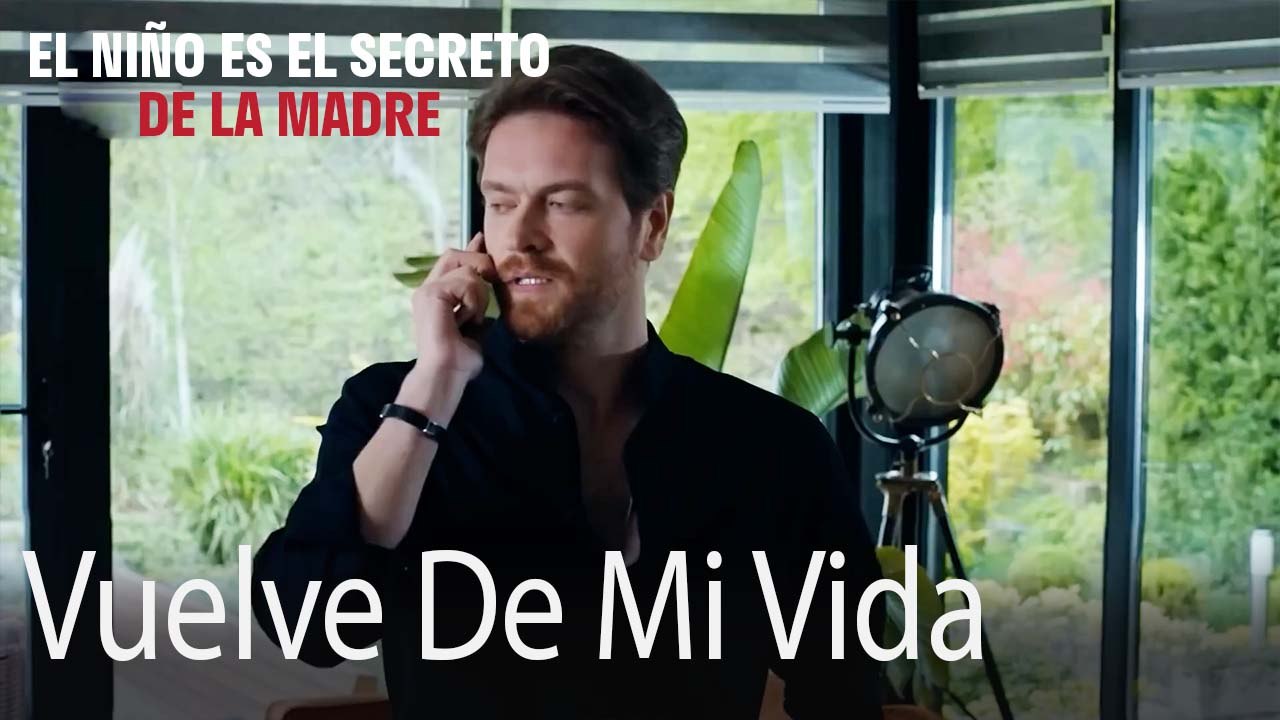 Vuelve De Mi Vida