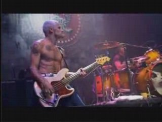 RHCP-Ramones Tribute