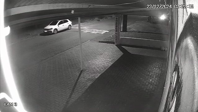 Câmera registra homem abandonando caixa com filhotes de gato no Bairro Paulo Godoy