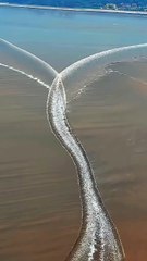 Awe-Inspiring_Nature_Energy_🌅🌻_2